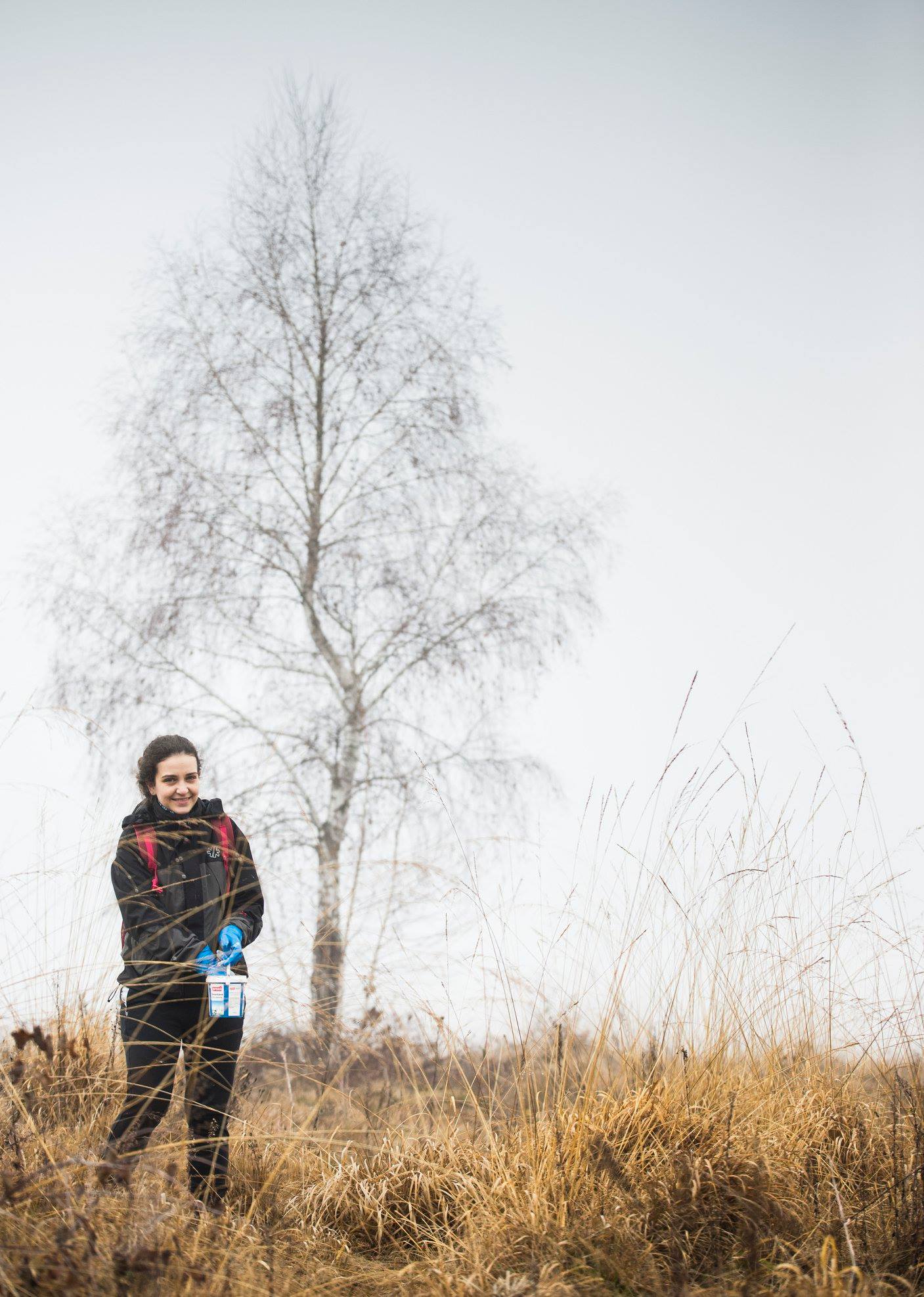 Arpasu Iarna 2018 13